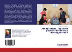Copertina di Аспирантура. Тернии и риски становления исследователя