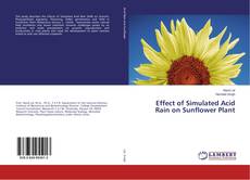 Buchcover von Effect of Simulated Acid Rain on Sunflower Plant