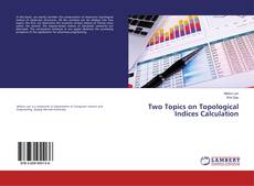 Buchcover von Two Topics on Topological Indices Calculation
