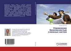 Buchcover von Управление безопасностью сложных систем