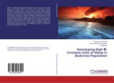 Copertina di Genotyping High Β- Carotene Lines of Maize in Backcross Population