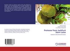 Buchcover von Protease from Jackfruit Stem Latex