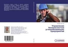 Copertina di Управление безопасностью угледобывающих предприятий