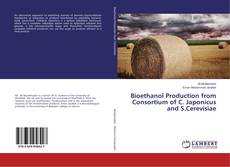 Buchcover von Bioethanol Production from Consortium of C. Japonicus and S.Cerevisiae