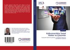 Buchcover von Kalkınmacılıkta Temel Riskler ve Çözümler
