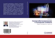 Copertina di Синергобетонирование в холодном климате