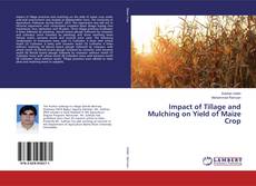 Couverture de Impact of Tillage and Mulching on Yield of Maize Crop