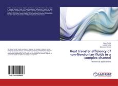 Buchcover von Heat transfer efficiency of non-Newtonian fluids in a complex channel