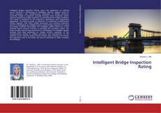 Copertina di Intelligent Bridge Inspection Rating