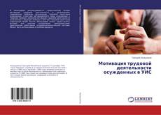 Buchcover von Мотивация трудовой деятельности осужденных в УИС