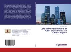 Copertina di Long-Term Determinants of Public Expenditure: The Case of Nigeria