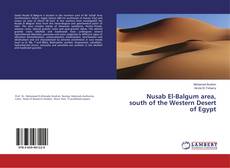 Copertina di Nusab El-Balgum area, south of the Western Desert of Egypt