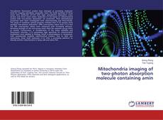 Buchcover von Mitochondria imaging of two-photon absorption molecule containing amin