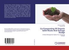 Copertina di Co-Composting Of Organic Solid Waste And Sewage Sludge