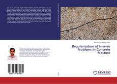 Copertina di Regularization of Inverse Problems in Concrete Fracture