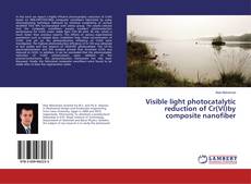 Copertina di Visible light photocatalytic reduction of Cr(VI)by composite nanofiber