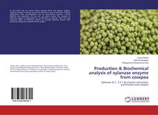 Buchcover von Production & Biochemical analysis of xylanase enzyme from cowpea