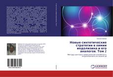 Copertina di Новые синтетические стратегии в химии индолизина и его аналогов. Том 2