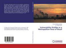 Copertina di Vulnerability Profiles in a Metropolitan Area of Brazil