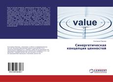 Обложка Синергетическая концепция ценностей