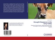 Capa do livro de Drought Response in the Grey Valley 