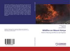 Copertina di Wildfire on Mount Kenya
