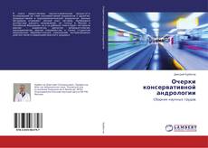 Copertina di Очерки консервативной андрологии