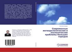 Copertina di Современные метеорологические и экологические проблемы больших городов