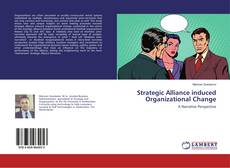 Strategic Alliance induced Organizational Change的封面