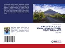 BUKUSU-SABAOT INTER-ETHNIC LAND RELATIONS IN MOUNT ELGON AREA kitap kapağı