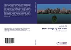 Copertina di Stone Sludge Fly ash Bricks