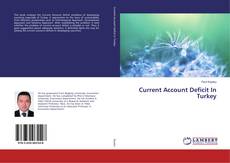 Buchcover von Current Account Deficit In Turkey