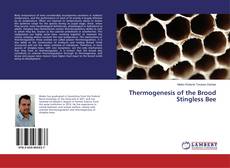 Copertina di Thermogenesis of the Brood Stingless Bee