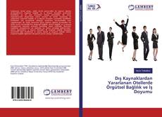 Dış Kaynaklardan Yararlanan Otellerde Örgütsel Bağlılık ve İş Doyumu kitap kapağı