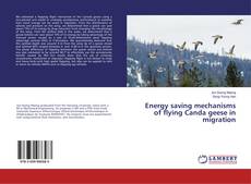 Copertina di Energy saving mechanisms of flying Canda geese in migration