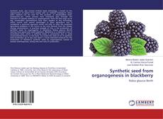 Copertina di Synthetic seed from organogenesis in blackberry