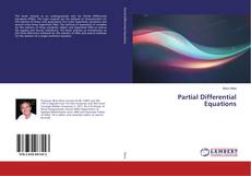 Copertina di Partial Differential Equations