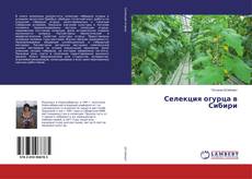 Обложка Селекция огурца в Сибири