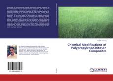 Copertina di Chemical Modifications of Polypropylene/Chitosan Composites