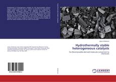 Copertina di Hydrothermally stable heterogeneous catalysts