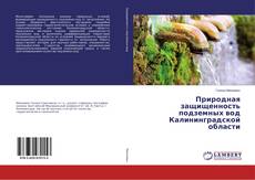 Bookcover of Природная защищенность подземных вод Калининградской области
