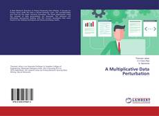 Copertina di A Multiplicative Data Perturbation