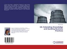 Copertina di IIA: Extending Knowledge and Guiding Business Practices
