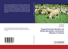 Copertina di Experimental infection of Peste des petits ruminants disease in Kenya