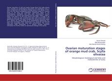 Copertina di Ovarian maturation stages of orange mud crab, Scylla olivacea