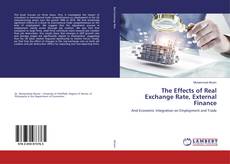 Portada del libro de The Effects of Real Exchange Rate, External Finance