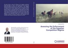 Capa do livro de Assessing the Enforcement of the Egyptian Competition Regime 