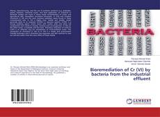 Capa do livro de Bioremediation of Cr (VI) by bacteria from the industrial effluent 