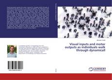 Buchcover von Visual inputs and motor outputs as individuals walk through dynamicall