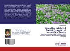 Bookcover of Water Hyacinth-based Sewage Treatment at University of Ibadan